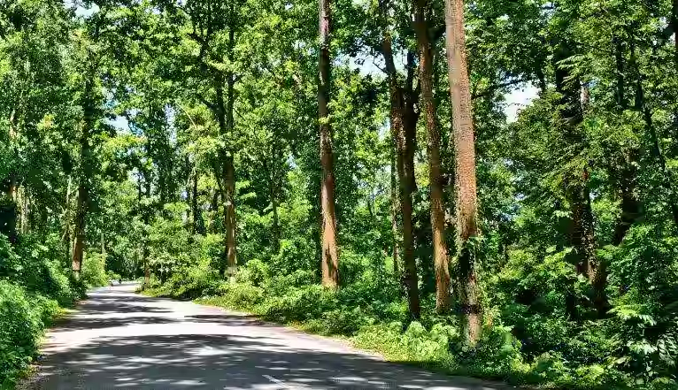 Forest Van Vibhag Vacancy 2026: Sarkari Job Van Vibhag Ke Liye Sampoorn Jankari - JustPaste.it