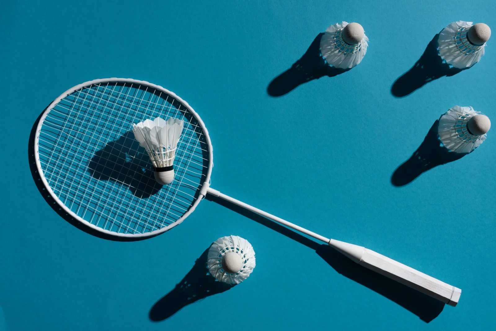 Cost of Badminton Court and Tennis Court Cost: Complete Guide for Sports Facility Planning - JustPaste.it