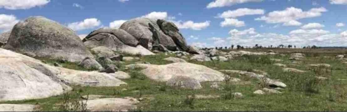 Heritage Consultants In NSW: Supporting Responsible Land Development
