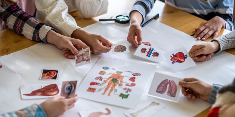 Choosing Between In-Person and Online AP Biology Classes